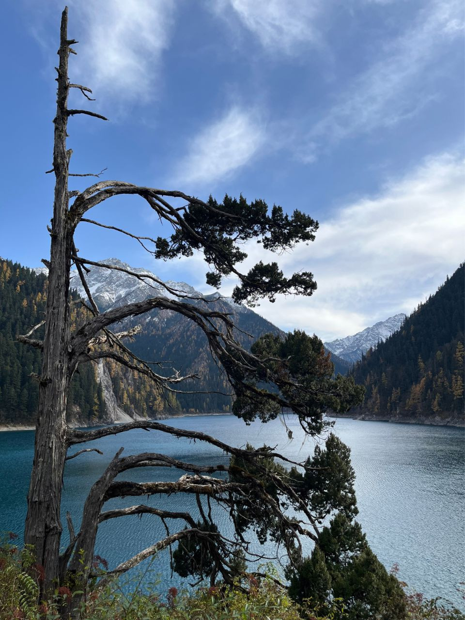 Không có con đường nào tốt hơn, chỉ là mỗi trải nghiệm đều mang lại những bài học riêng biệt.