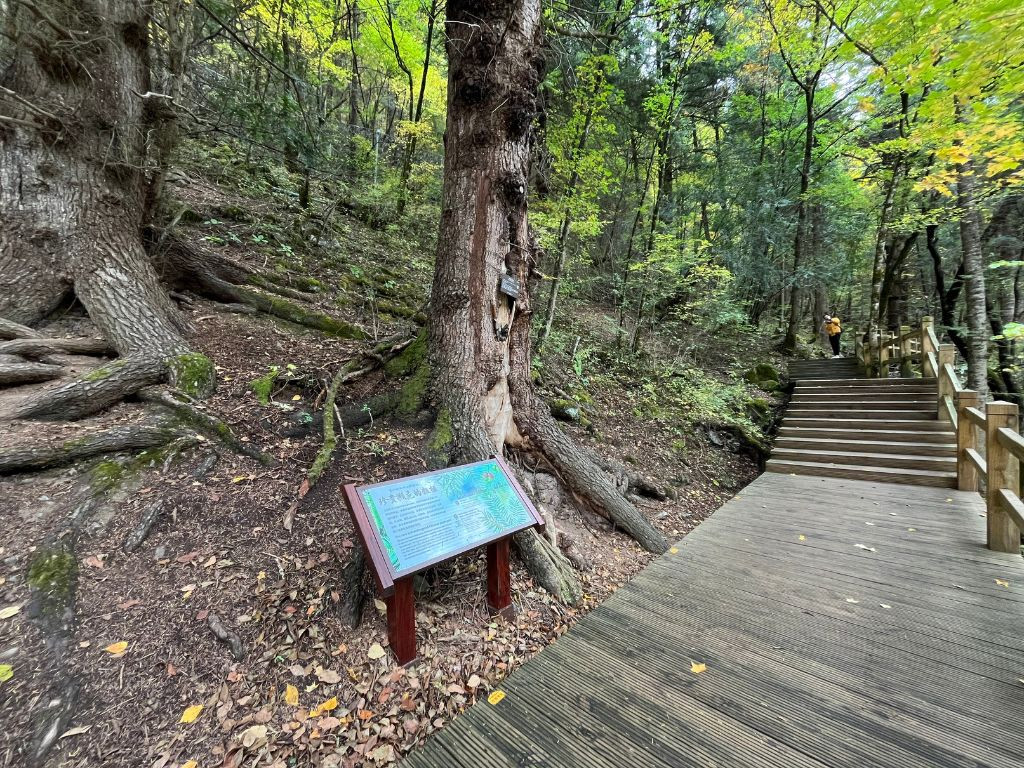 Cung đường vắng vẻ giúp tinh thần được thư giãn hoàn toàn.