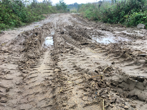 Cận cảnh cửu vạn nườm nượp vác hàng lậu qua biên giới Quảng Ninh ảnh 15