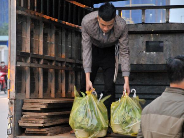 Hàng chục người 'dệt' cờ Mỹ - Triều Tiên bằng ngàn bông hoa ảnh 2