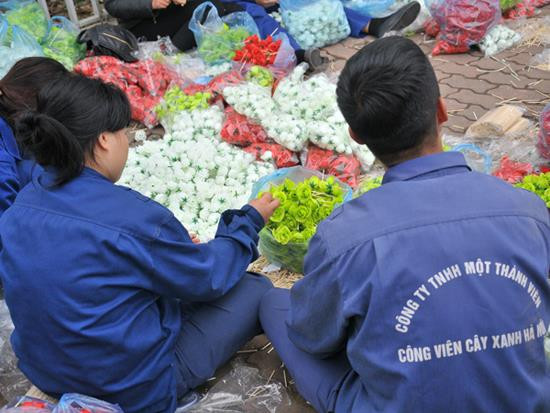 Hàng chục người 'dệt' cờ Mỹ - Triều Tiên bằng ngàn bông hoa ảnh 4