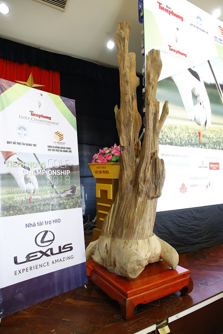 Cận cảnh cây trầm hương quý hiếm tại Tiền Phong Golf Championship ảnh 4