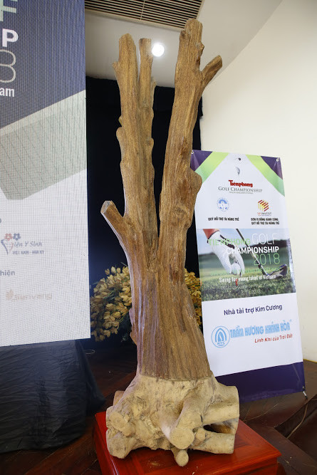 Cận cảnh cây trầm hương quý hiếm tại Tiền Phong Golf Championship ảnh 3