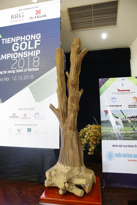 Đấu giá cây trầm hương quý hiếm tại Tiền Phong Golf Championship 2018 ảnh 2