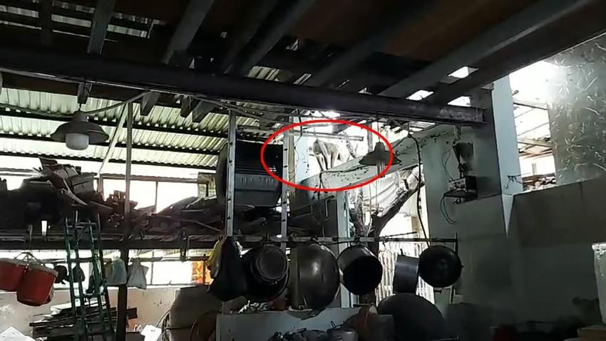 Con khỉ đực xuất hiện ở khu vực dân cư quậy phá, đập bể ly chén... Ảnh: TT Con khỉ đực xuất hiện ở khu vực dân cư quậy phá, đập bể ly chén... Ảnh: TT