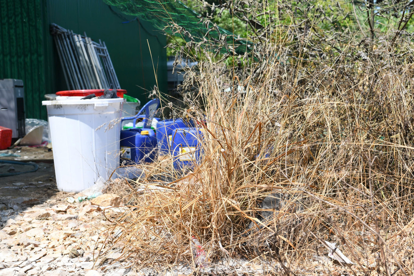 Cây cối bắt đầu chết khô xung quanh nơi để hóa chất. Cây cối bắt đầu chết khô xung quanh nơi để hóa chất.