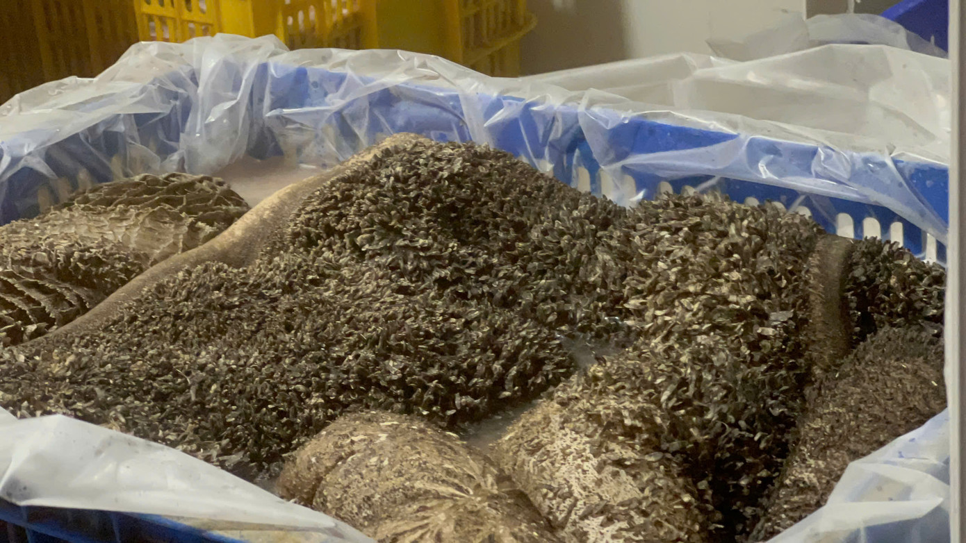 Hiện lực lượng chức năng đang tiếp tục làm rõ vụ việc. Hiện lực lượng chức năng đang tiếp tục làm rõ vụ việc.