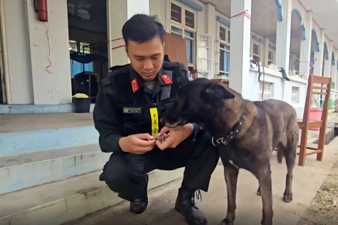 Chú cảnh khuyển tên Bin đã phục hồi sau một ngày bỏ ăn. Ảnh: Lê Hoàng.