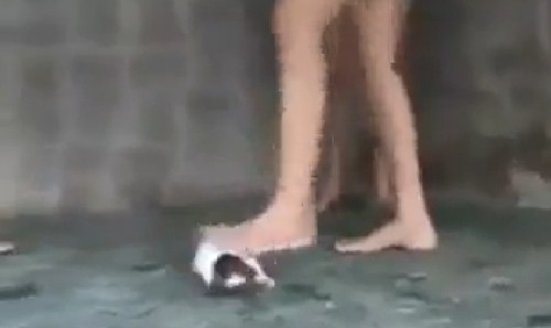 Chú cún tội nghiệp bị giày vò đến chết . Ảnh: Ảnh chụp màn hình