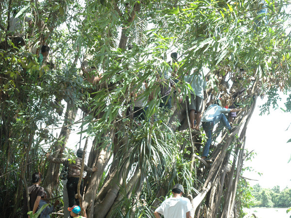 Người dân theo dõi lực lượng cứu hộ tìm kiếm nạn nhân vụ đắm tàu du lịch. Ảnh: Quang Phương . Người dân theo dõi lực lượng cứu hộ tìm kiếm nạn nhân vụ đắm tàu du lịch. Ảnh: Quang Phương