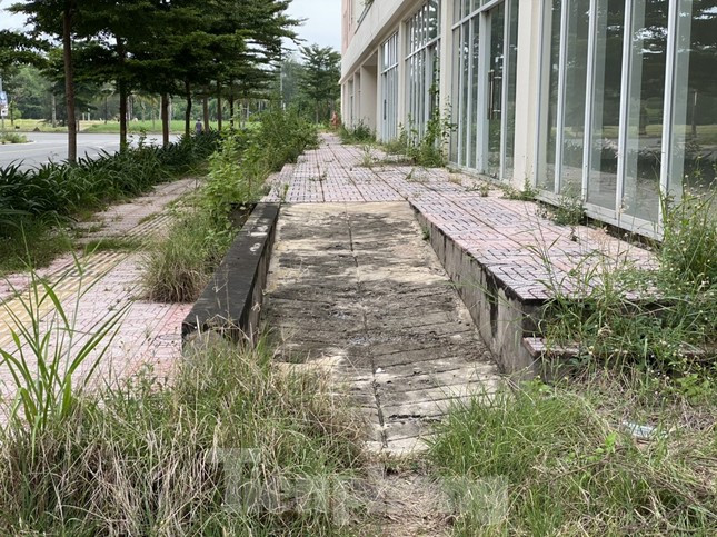 Đến tháng 6/2021, TPHCM tiếp tục bán đấu giá 3.790 căn hộ tái định cư này với giá 9.900 tỷ đồng. Khi đó, các căn hộ nói trên được chia làm 2 gói để bán đấu giá.