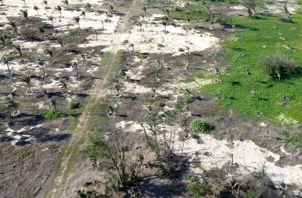 Bình Thuận sẽ trả đất lại cho các hộ gia đình, cá nhân trong khu vực dự án Khu du lịch 2 Troticana Resort and Spa.