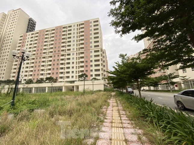 Gói thứ nhất gồm 1.570 căn hộ thuộc lô R4 và lô R5, gói thứ hai gồm 2.220 căn thuộc các lô R1, R2 và R3. Do các gói đều có giá trị lên đến hàng nghìn tỷ đồng nên đối tượng nhắm đến là doanh nghiệp kinh doanh bất động sản. Tuy nhiên, không có doanh nghiệp nào tham gia đấu giá.