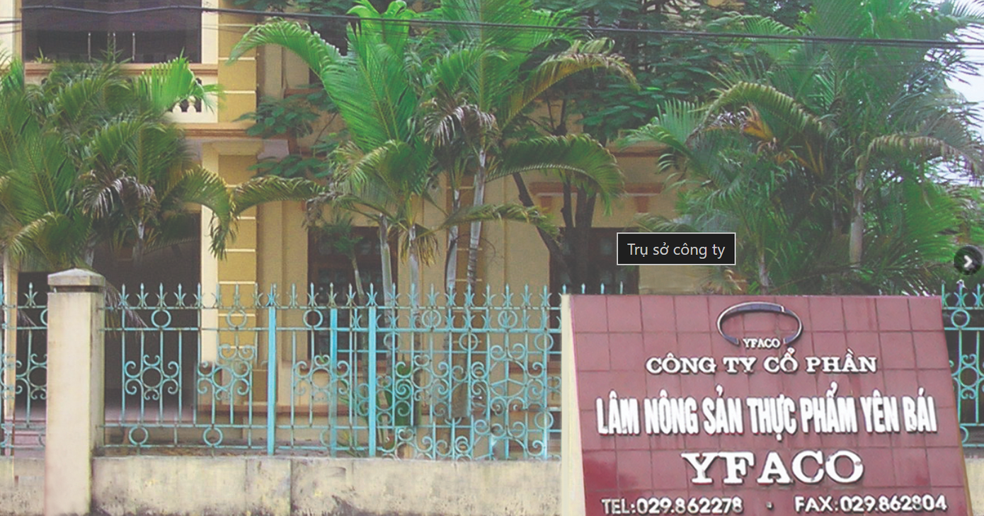 Công ty CP Lâm Nông sản Thực phẩm Yên Bái là doanh nghiệp kinh doanh vàng mã duy nhất niêm yết cổ phiếu lên sàn. Ảnh: CAP.