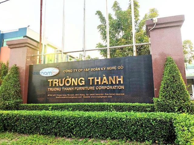 Công ty CP Tập đoàn Kỹ nghệ Gỗ Trường Thành có lợi nhuận sau thuế giảm tới 51% so với báo cáo tự lập, chỉ còn hơn 6 tỷ đồng.