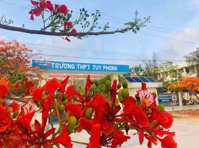 Trường THPT Tuy Phong, huyện Tuy Phong (tỉnh Bình Thuận) - nơi xảy ra sự việc. Trường THPT Tuy Phong, huyện Tuy Phong (tỉnh Bình Thuận) - nơi xảy ra sự việc.