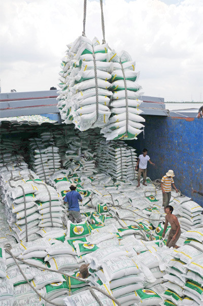 Xuất khẩu gạo đang tăng 