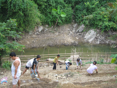 Tranh thủ hết giờ dạy học, các giáo viên và học sinh trồng rau để cải thiện cuộc sống