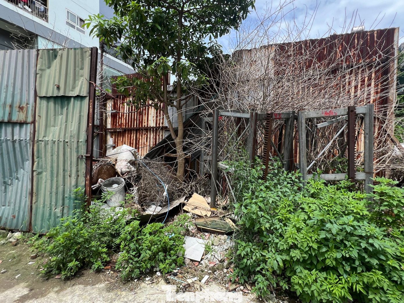 Sau đó, khi có ý định tiếp tục thi công dự án, Công ty Cổ phần May Thăng Long có văn bản xin bổ sung và thay đổi công năng một số tầng của tòa Thăng Long Garden Tower. Tuy nhiên, từ đó đến nay dự án vẫn tiếp tục bị bỏ dở và ngày một hoen ố theo thời gian...