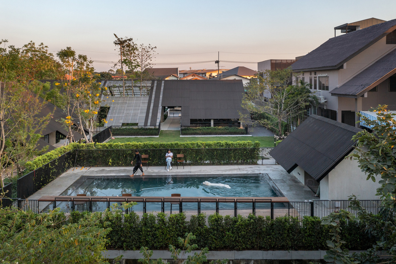 Bậc thang hồ bơi cũng được thiết kế theo tỷ lệ thấp hơn, cho chủ nhà và chó dễ dàng bước lên đúng cách.