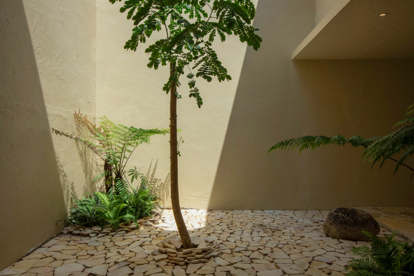 Lấy cảm hứng từ những con sóng vỗ vào bờ và bãi đá của Vũng Tàu, các kiến trúc sư đã xóa nhòa ranh giới giữa nội thất và ngoại thất, kiến trúc và cảnh quan.