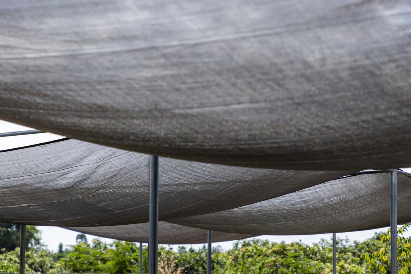 Bạt che mờ có thể tháo rời này có thể dễ dàng di chuyển bằng tay, để tạo bóng râm theo ý muốn, theo góc mặt trời thay đổi từ Nam sang Bắc trong mùa khô và mùa mưa. Bạt che mờ có thể tháo rời này có thể dễ dàng di chuyển bằng tay, để tạo bóng râm theo ý muốn, theo góc mặt trời thay đổi từ Nam sang Bắc trong mùa khô và mùa mưa.