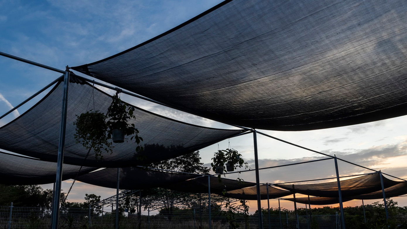 Bạt che mờ có thể tháo rời này có thể dễ dàng di chuyển bằng tay, để tạo bóng râm theo ý muốn, theo góc mặt trời thay đổi từ Nam sang Bắc trong mùa khô và mùa mưa. Bạt che mờ có thể tháo rời này có thể dễ dàng di chuyển bằng tay, để tạo bóng râm theo ý muốn, theo góc mặt trời thay đổi từ Nam sang Bắc trong mùa khô và mùa mưa.