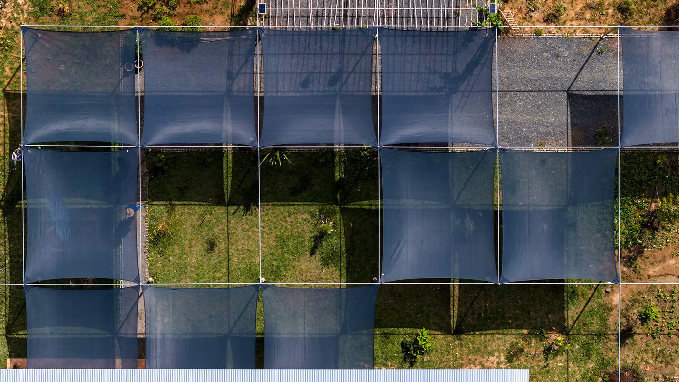 Ngôi nhà có diện tích sàn chỉ bằng 5% diện tích đất.