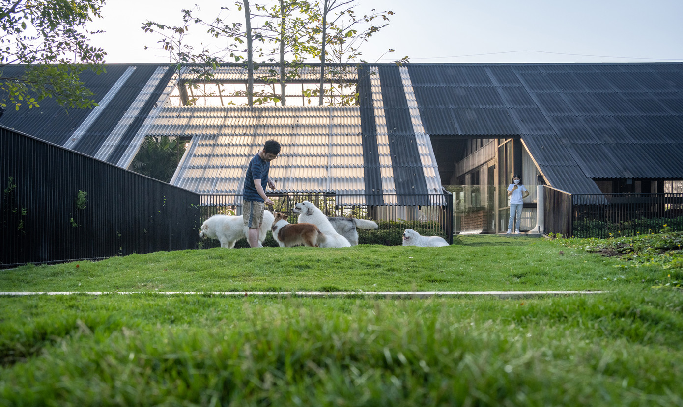 Không chỉ thế, chủ nhà còn muốn lan tỏa hạnh phúc đến những người có cùng sở thích nuôi chó khác. Anh muốn biến một phần ngôi nhà thành khách sạn cho chó, nơi những chú chó có thể chia sẻ tiện nghi và gặp gỡ nhau.