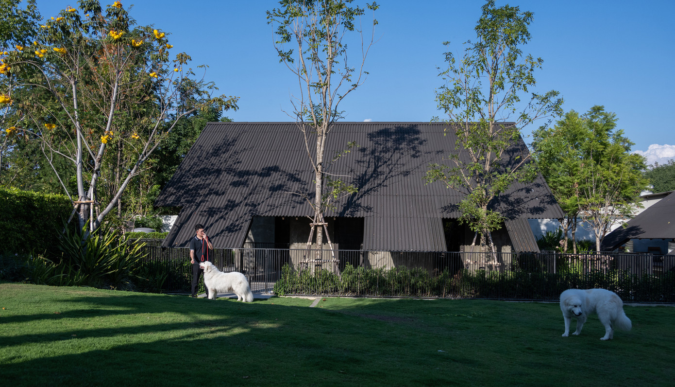 Không chỉ thế, chủ nhà còn muốn lan tỏa hạnh phúc đến những người có cùng sở thích nuôi chó khác. Anh muốn biến một phần ngôi nhà thành khách sạn cho chó, nơi những chú chó có thể chia sẻ tiện nghi và gặp gỡ nhau.