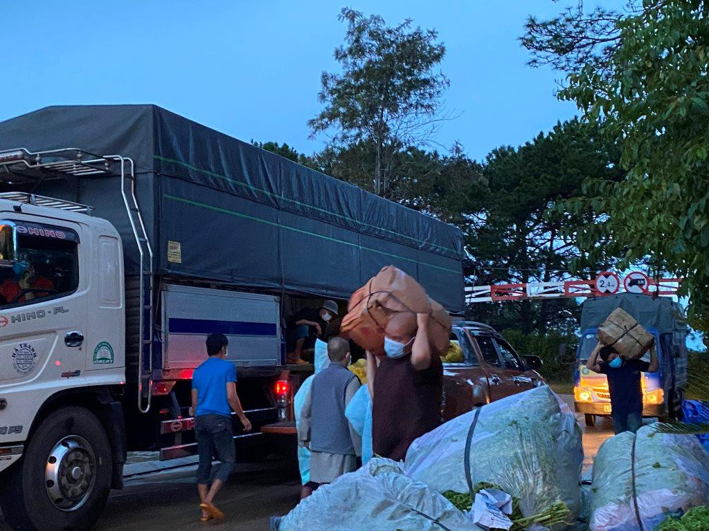 Để có một chuyến xe rau, củ, quả mười mấy tấn trở lên kịp thời chuyển trao cho các đối tượng khó khăn tại TP. HCM và một số tỉnh thành, thì các Đại đức, tăng ni, phật tử cùng người dân phải dậy từ rất sớm để cắt rau, thu hoạch củ, quả rồi đóng gói đưa lên xe.