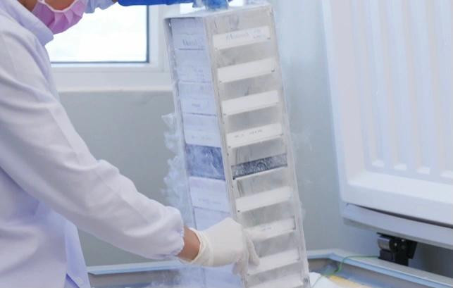 Sản xuất thuốc Mulnopiravir tại Công ty TNHH Liên doanh Stellapharm Việt Nam- ảnh L.N