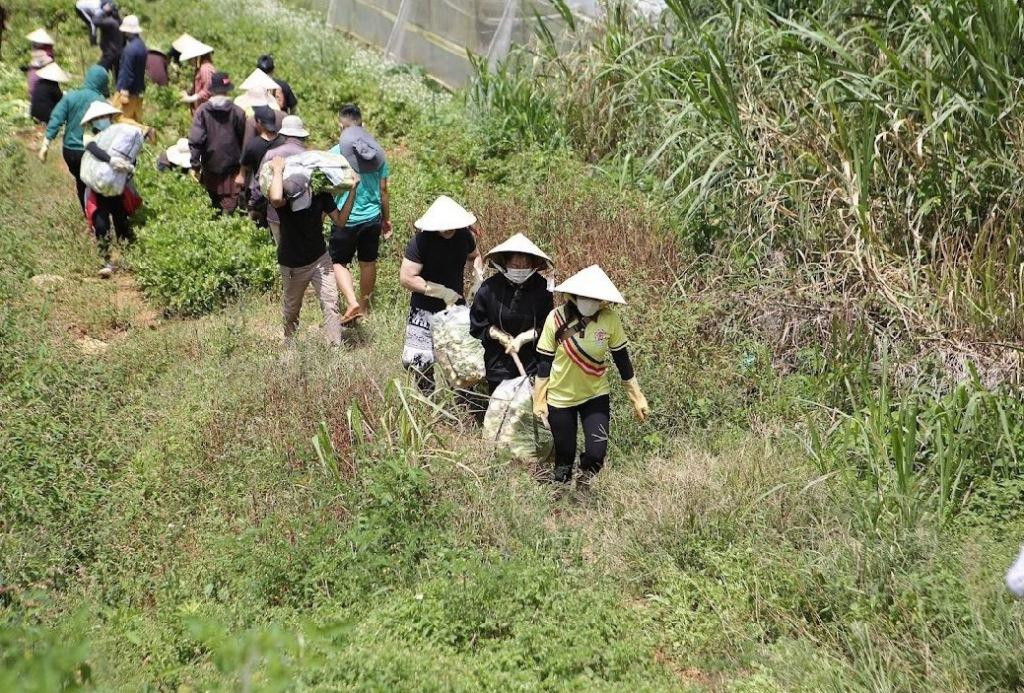 Phật tử ra vườn để thu hoạch rau củ tặng bà con nghèo ở TPHCM đang chống dịch COVID-19