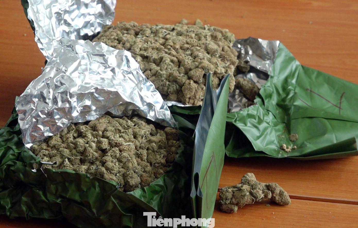 Cần sa được đóng gói vào trong các túi hút chân không để vận chuyển. Cần sa được đóng gói vào trong các túi hút chân không để vận chuyển.