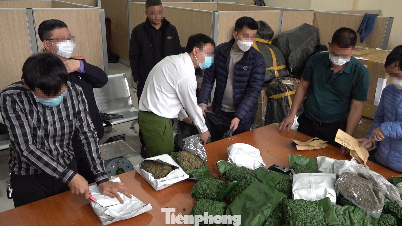 Số lượng lớn cần sa bị lực lượng chức năng thu giữ. Số lượng lớn cần sa bị lực lượng chức năng thu giữ.