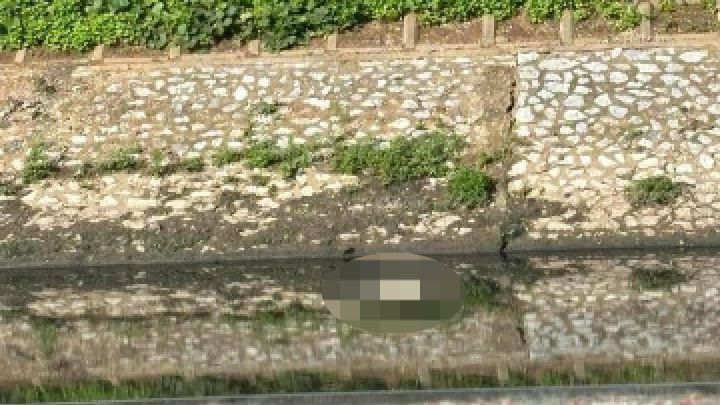 Khu vực phát hiện thi thể nạn nhân. Khu vực phát hiện thi thể nạn nhân.