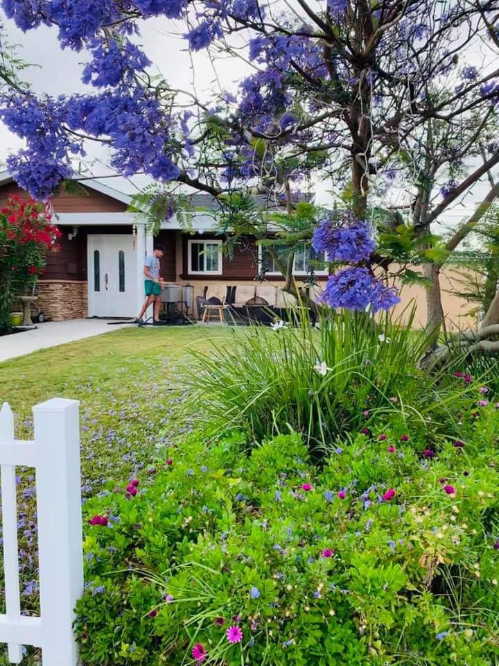 Vườn nhà Ngọc Anh