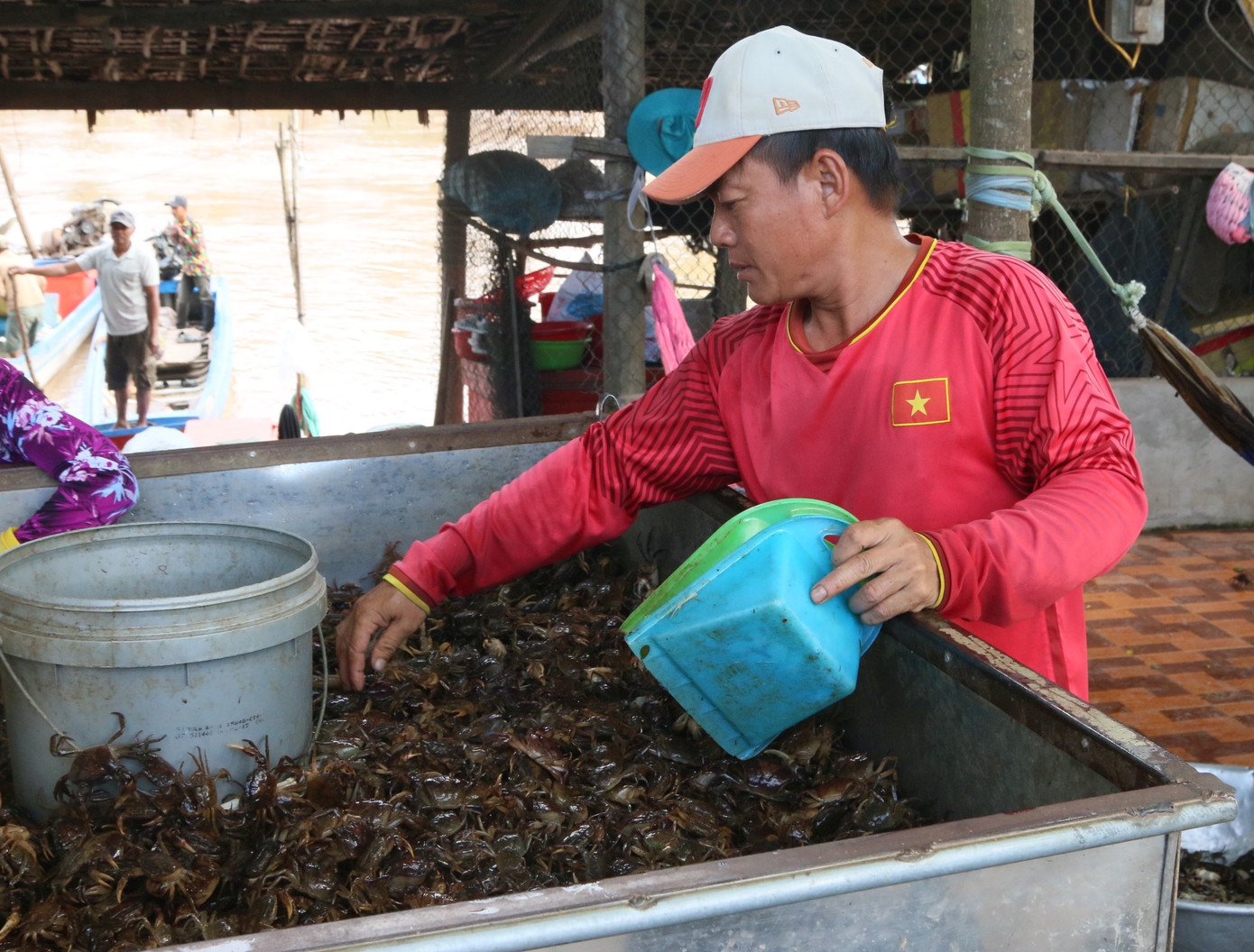 Mưu sinh mùa nước nổi miền Tây ảnh 5