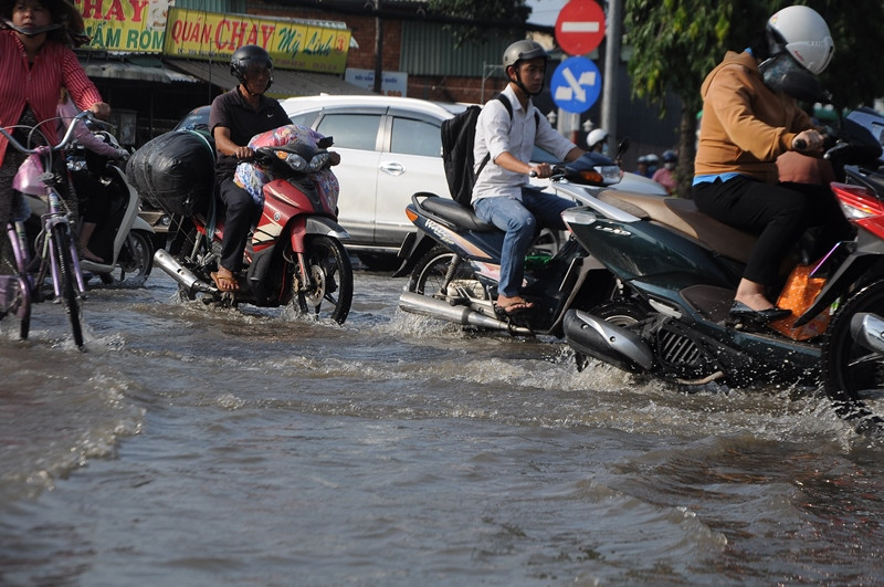 Cần 300 tỷ đồng để xử lý các điểm ngập quốc lộ 1 qua miền Tây ảnh 2