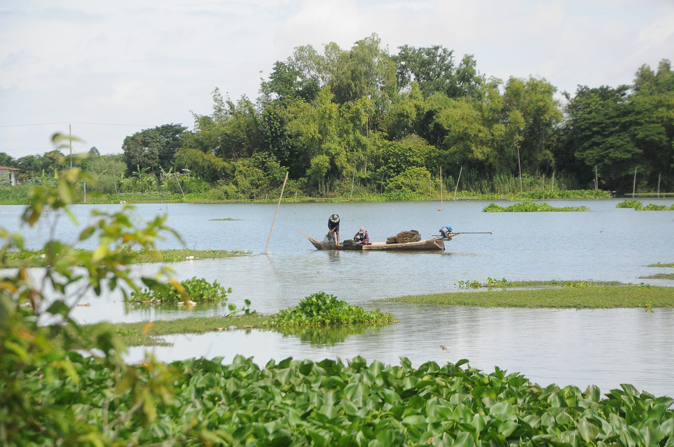 Mưu sinh mùa nước nổi miền Tây ảnh 2
