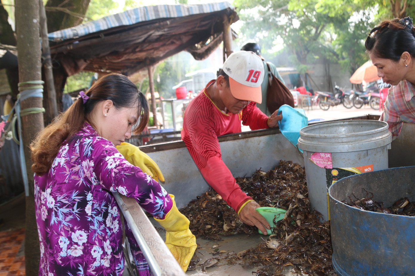 Mưu sinh mùa nước nổi miền Tây ảnh 4