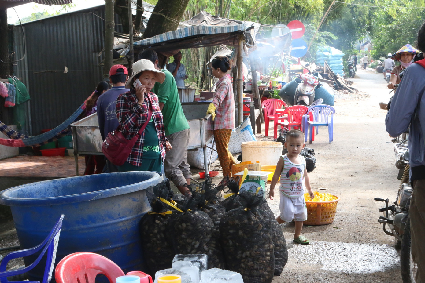 Mưu sinh mùa nước nổi miền Tây ảnh 3