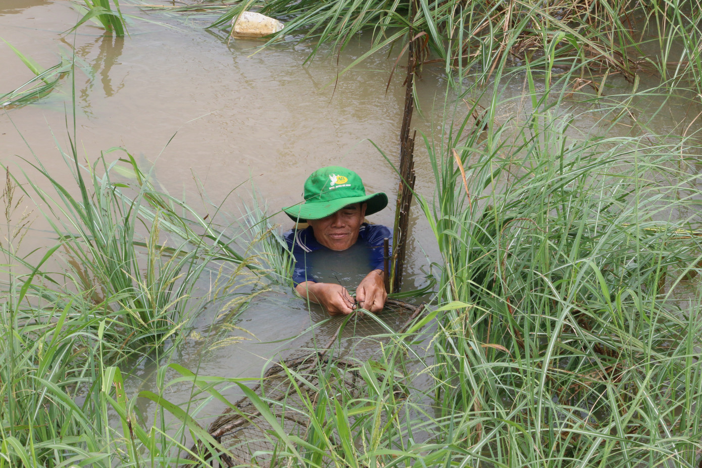 Mưu sinh mùa nước nổi miền Tây ảnh 18