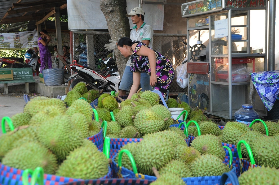 Nông sản Đồng bằng sông Cửu Long giữa mùa khó khăn kép ảnh 10