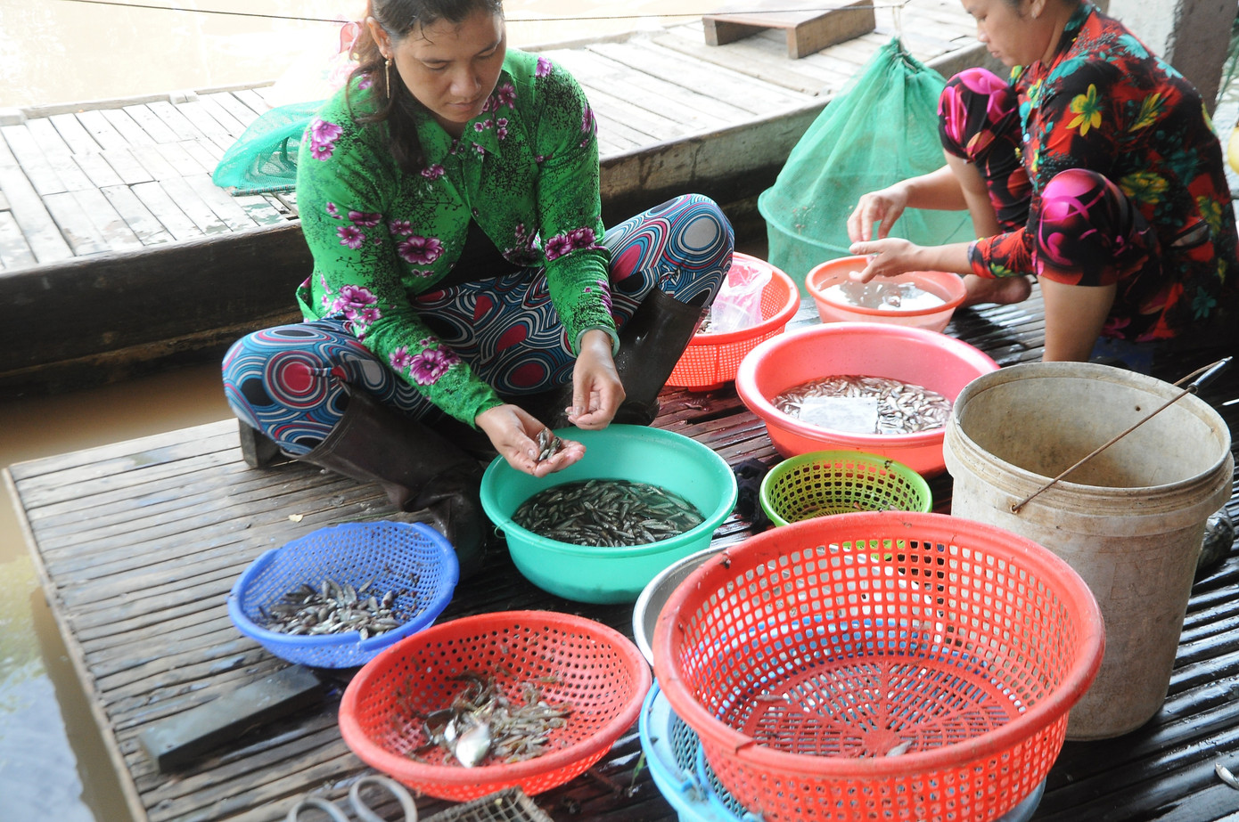 Mưu sinh mùa nước nổi miền Tây ảnh 10