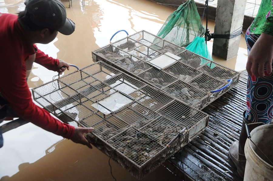 Mưu sinh mùa nước nổi miền Tây ảnh 19