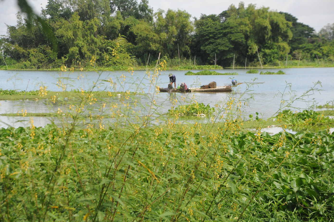 Mưu sinh mùa nước nổi miền Tây ảnh 16