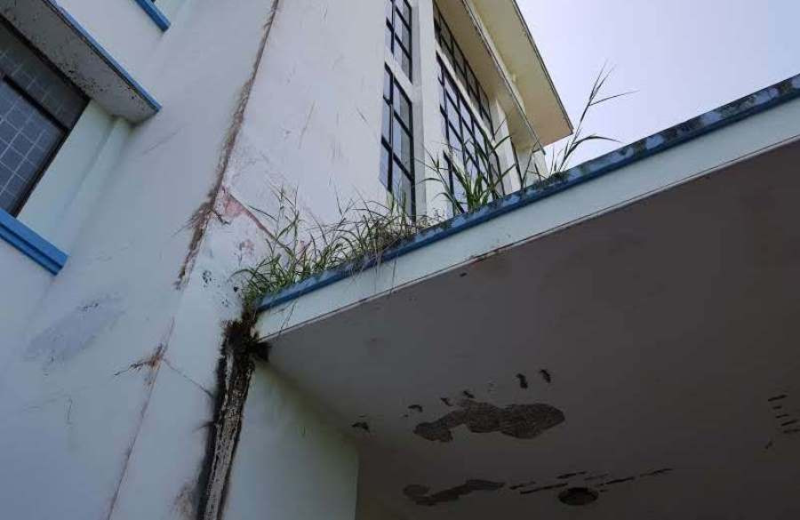 Trường đại học xây hàng chục tỷ đồng bỏ hoang nhiều năm ảnh 6