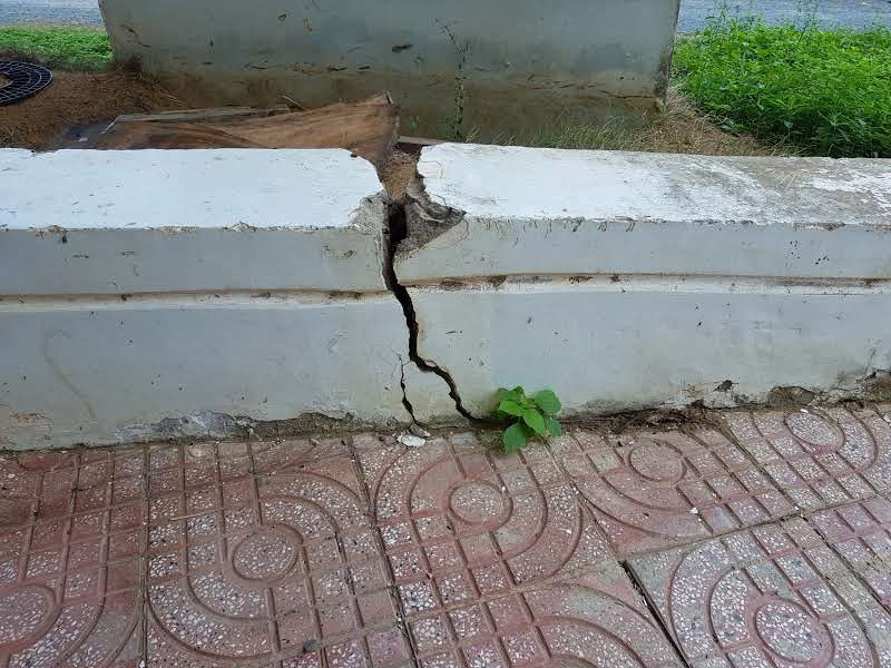 Trường đại học xây hàng chục tỷ đồng bỏ hoang nhiều năm ảnh 7