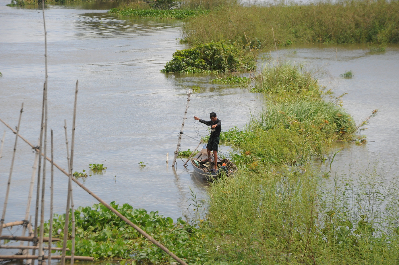 Mưu sinh mùa nước nổi miền Tây ảnh 1
